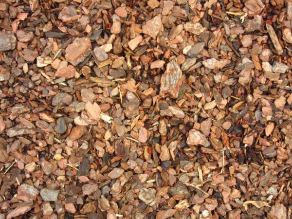 Мульча из кедровой шишки (Тунга)
